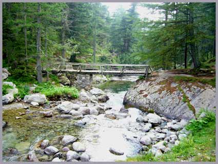 Le haut Boréon dans le parc du Mercantour