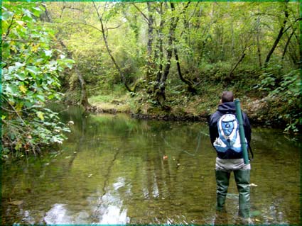 Initiation pêche à la mouche sur le Loup