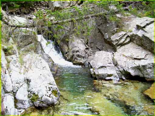 Pêche en torrent d'altitude