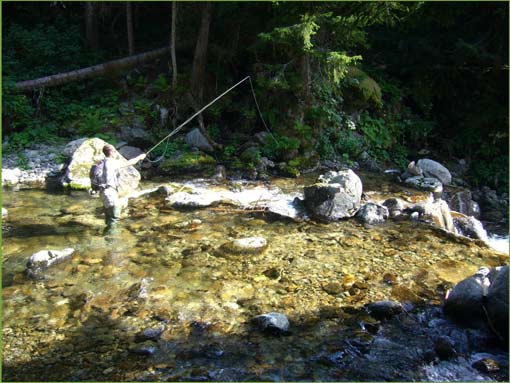 Pêche en torrent