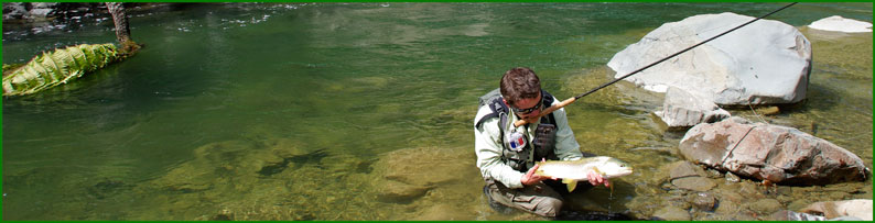 Grosse fario tenkara