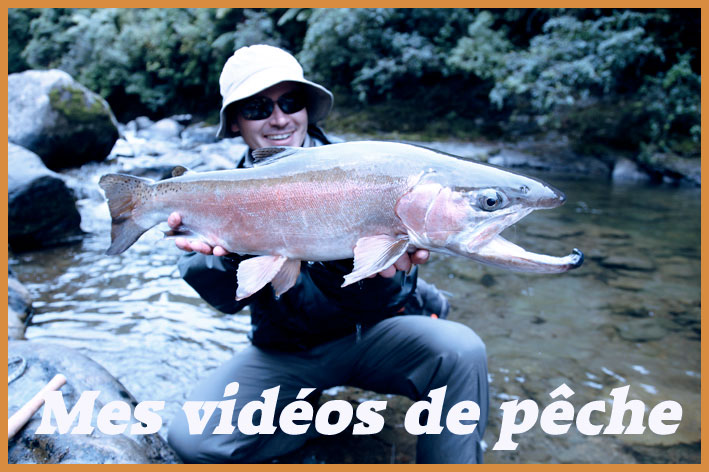 Videos pêche